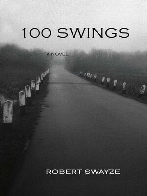 cover image of 100 Swings